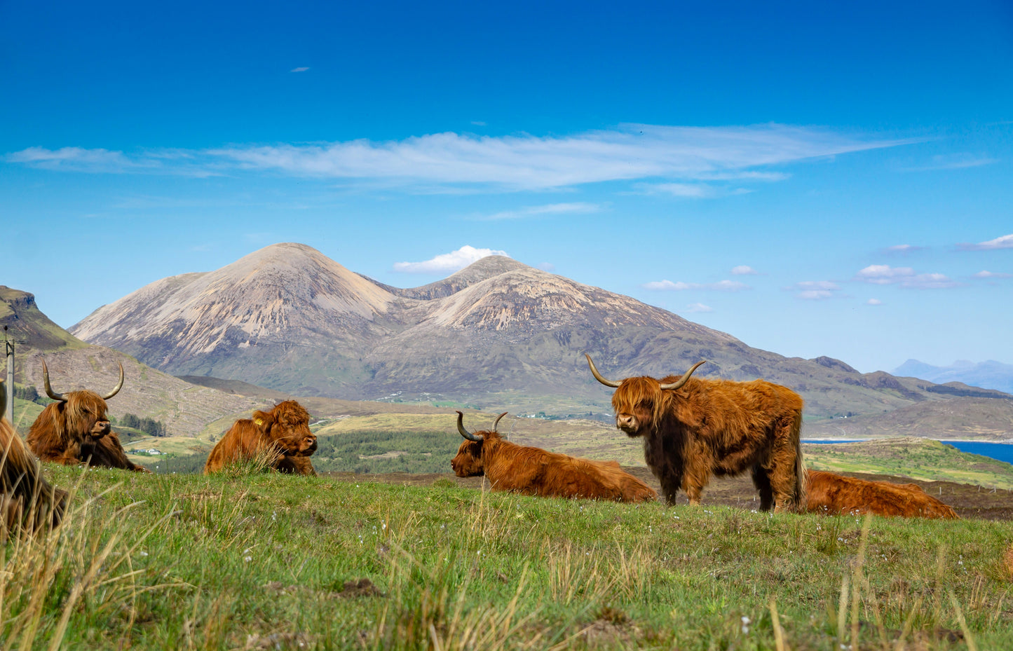 7 Night: 'Wizarding' Scotland Journey