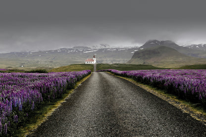10 Night: Best of Iceland Adventure