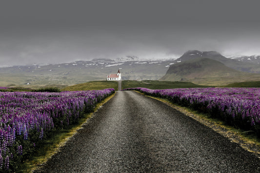 10 Night: Best of Iceland Adventure