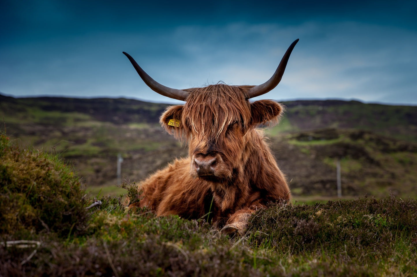 8 Night: Ireland & Scotland Highlights